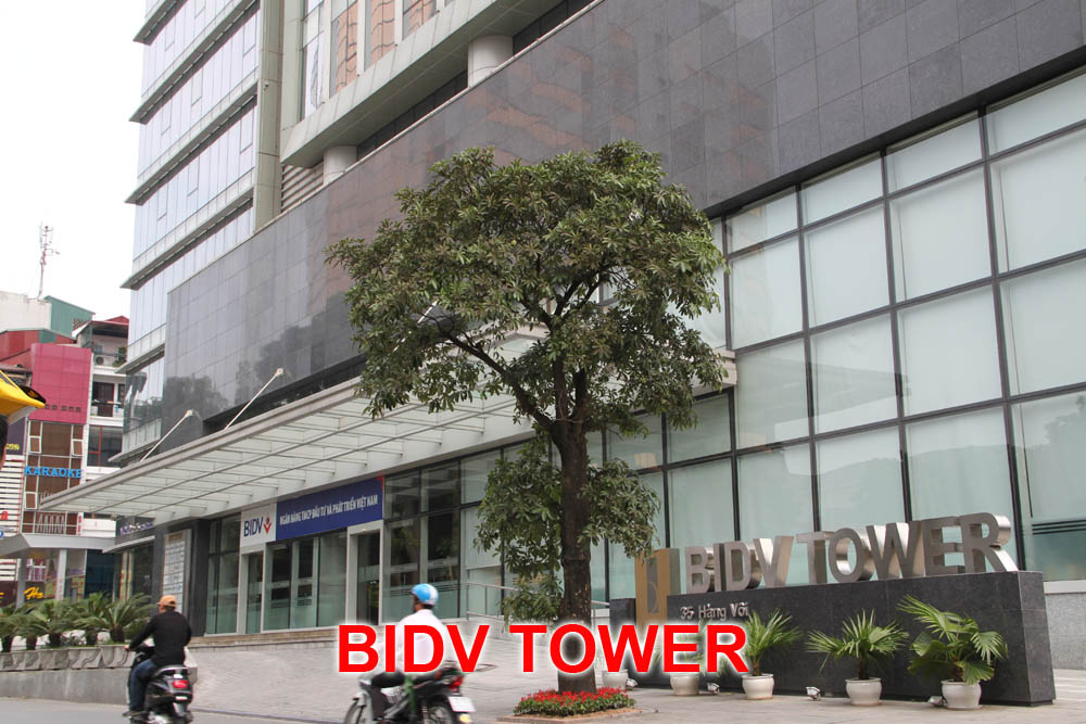 BIDV TOWER